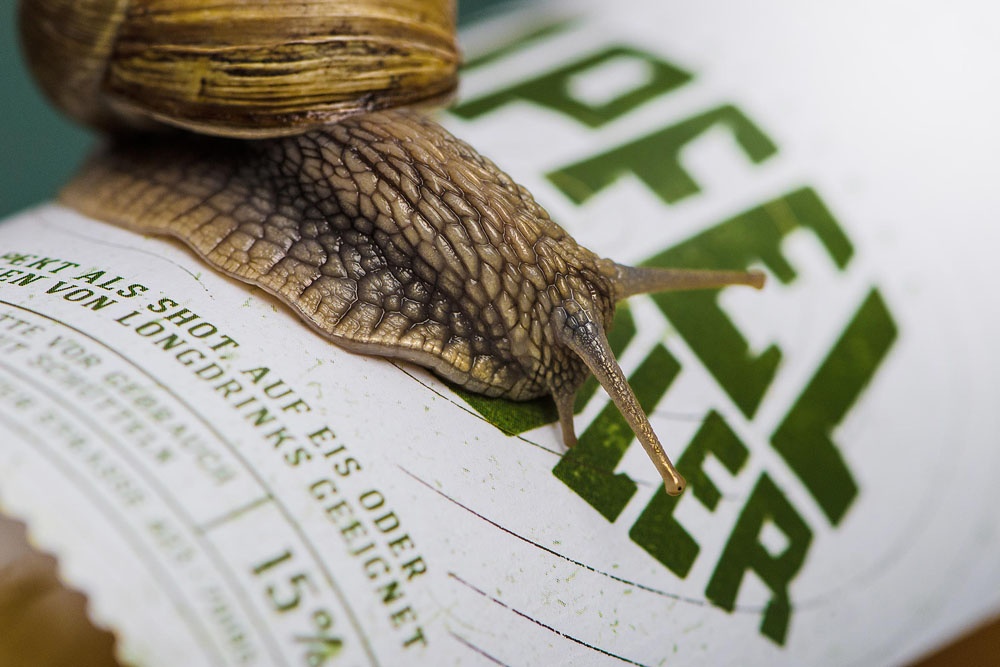 品牌包裝形象設(shè)計