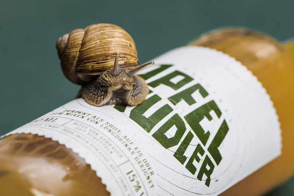 高端品牌logo設(shè)計