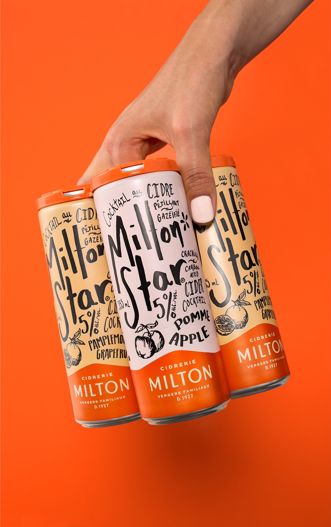 創(chuàng)意酒包裝設(shè)計